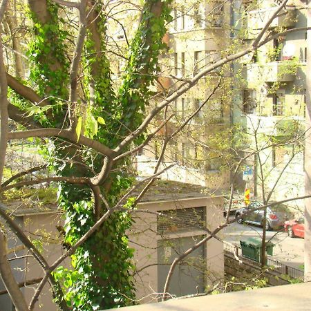 My Sun Daire Rijeka Dış mekan fotoğraf