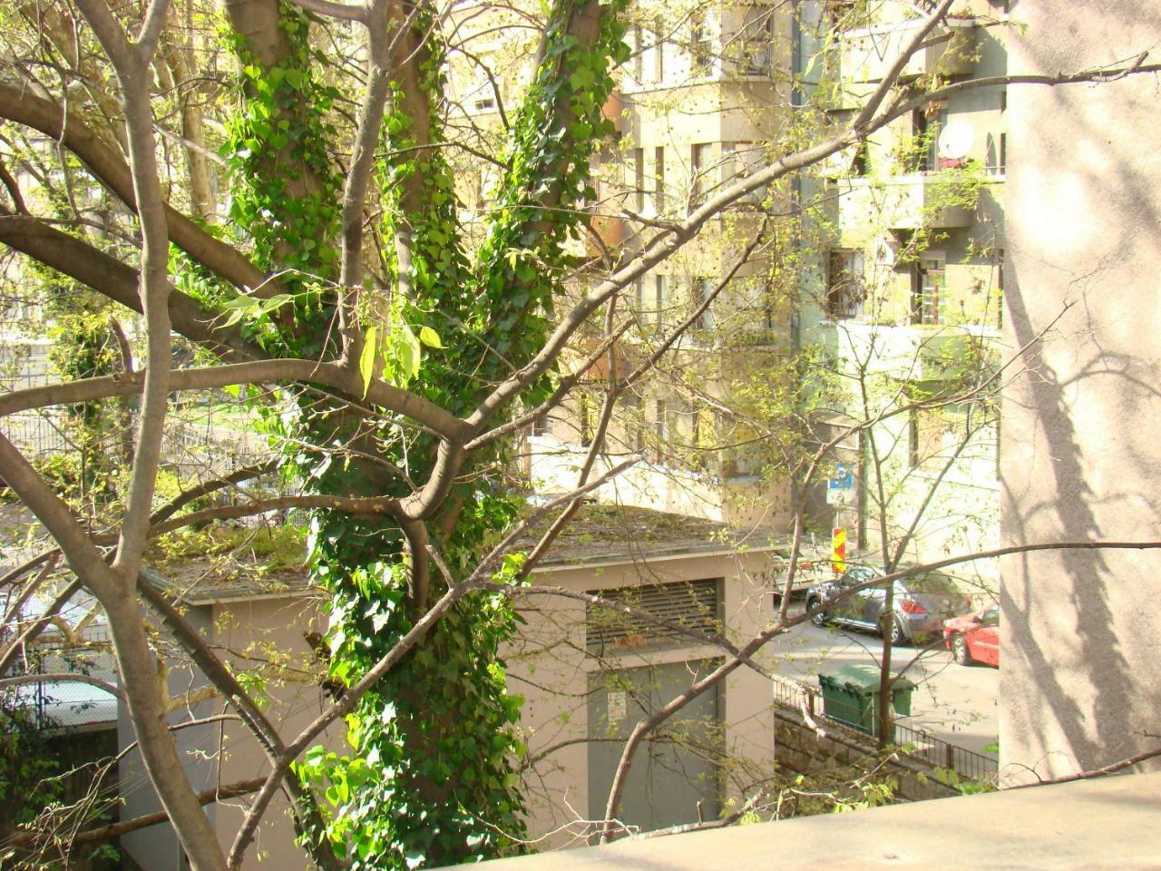 My Sun Daire Rijeka Dış mekan fotoğraf